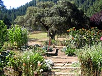 Harmony Ranch Garden